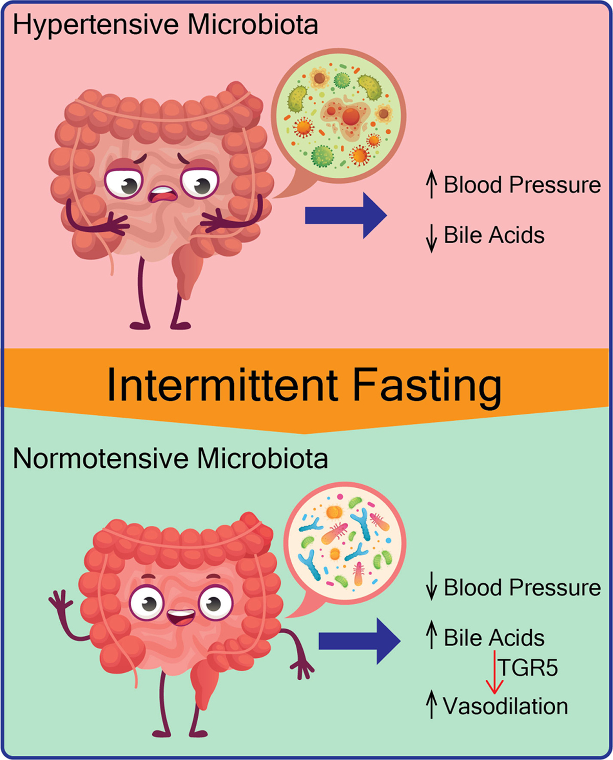 I Tracked My Gut Microbiome for 30 Days While Fasting. The Results Were Gross.